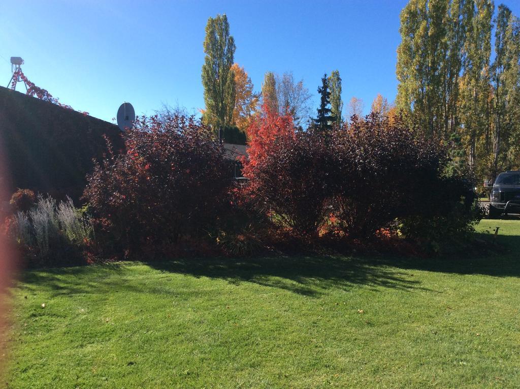 Robert'S Roost Rv Park Resort Quesnel Ngoại thất bức ảnh